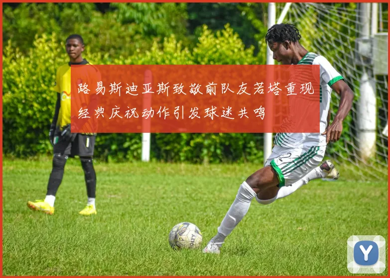 路易斯迪亚斯致敬前队友若塔重现经典庆祝动作引发球迷共鸣