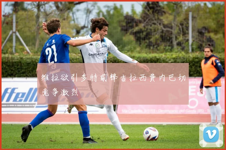 维拉欲引多特前锋吉拉西费内巴切竞争激烈