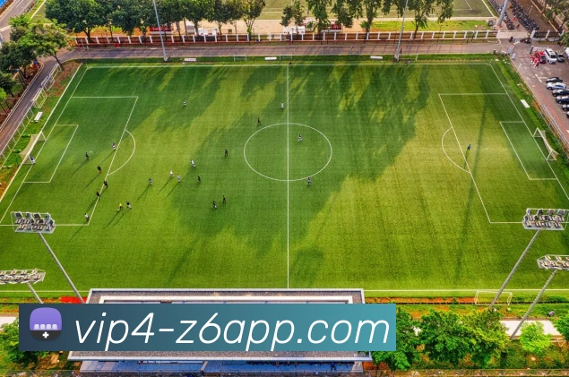 尊龙凯时APP 体育赛事宣传图